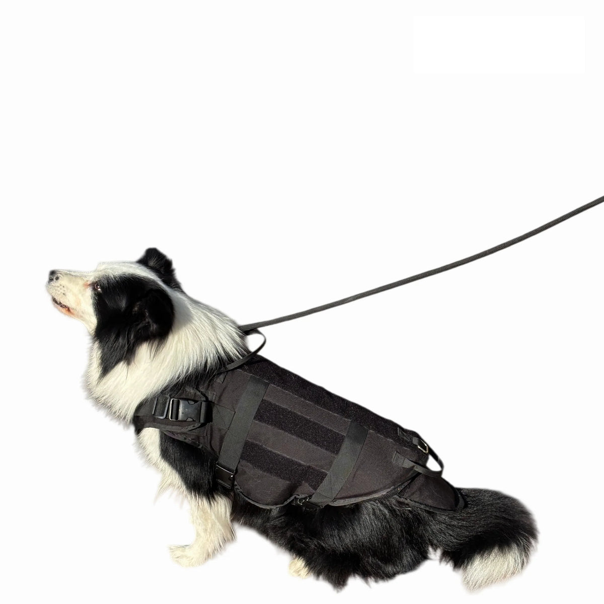 Level IIIA Soft PE Dog Plate Carrier Vest Multi-functional Adjustable Tactical Pet Vest for Dog Training Outdoor Protective Gear