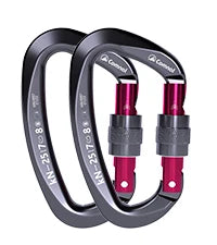 1pcs 25KN Professional Safety Carabiner D Shape Key Hooks Aluminum Climbing Security Master Lock Outdoor Ascend Camping Tools
