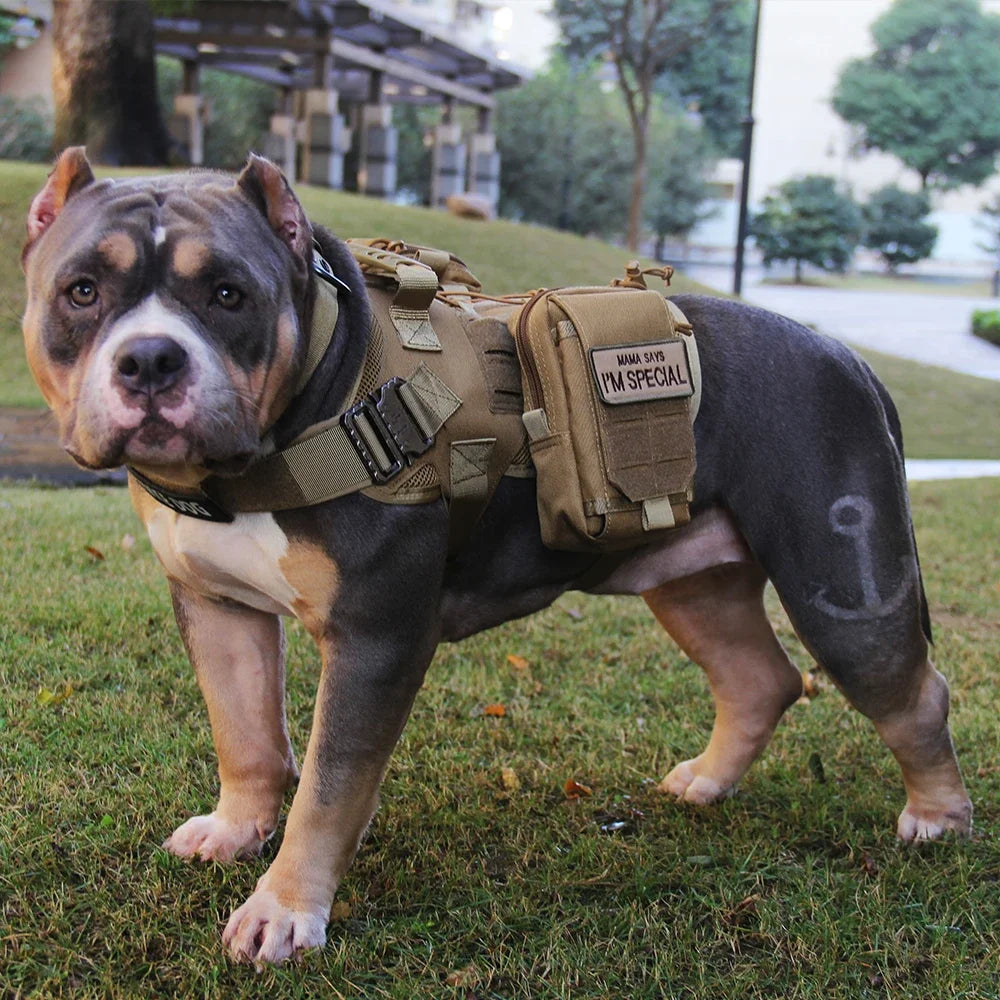 Tactical Dog Vest Hunting Shooting Cs  Fan Service Nylon Pet Vests Airsoft Training Molle Dogs Harness